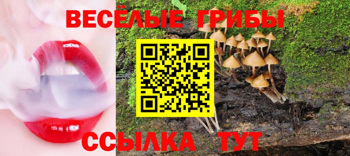 Галлюциногенные грибы мухоморы  Псилоцибиновые грибы GOLDEN TEACHER  наркотики  Вход с VPN  Алапаевск 