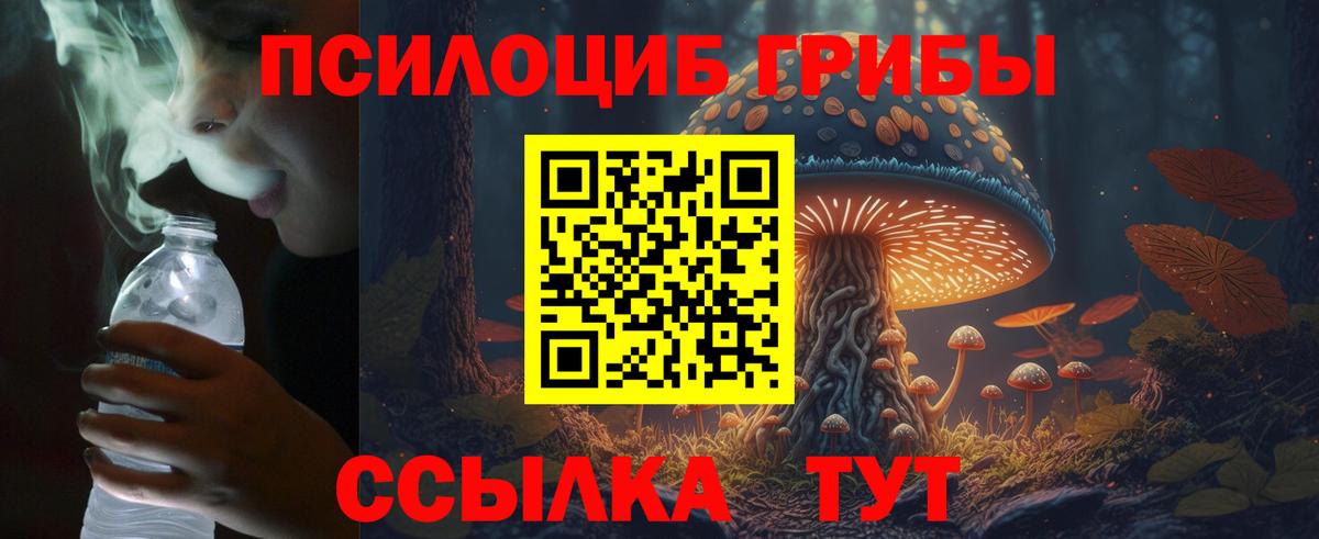 Галлюциногенные грибы Psilocybine cubensis Алапаевск